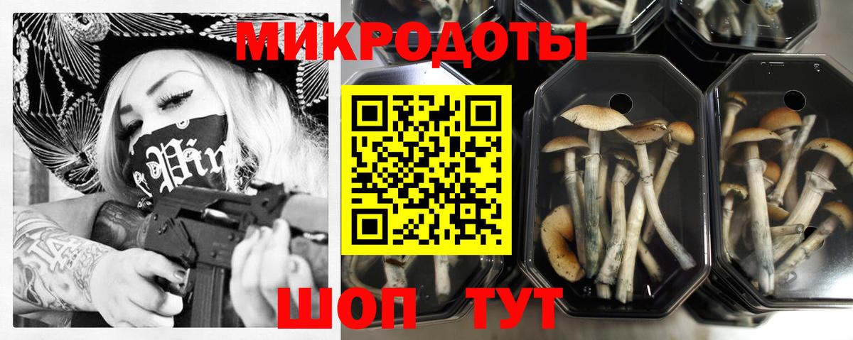 Богородицк  закладки  Вход с VPN  Псилоцибиновые грибы Magic Shrooms 